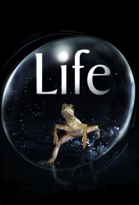 Life (TV Series 2009-2009) — The Movie Database (TMDB)