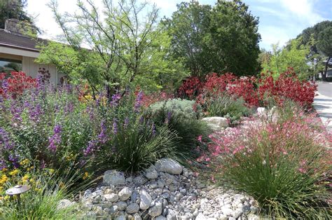 Arbor Day California Native Garden California Native Plants