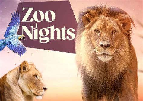 Visit The Adelaide Zoo At Night Mamamag