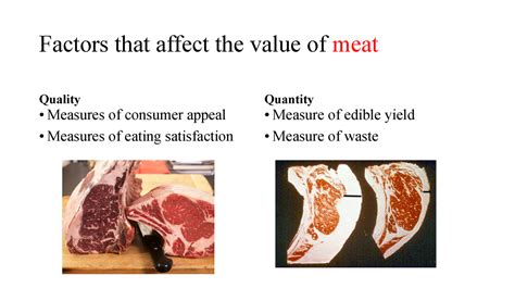 Carcass Evaluation3 2 Lab Factors That Affect The Value Of Meat