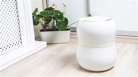 Best Ways To Purify The Air In Your Home Atelier Yuwa Ciao Jp