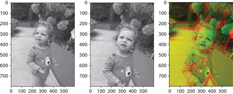 Data Science for Neuroimaging | Princeton University Press