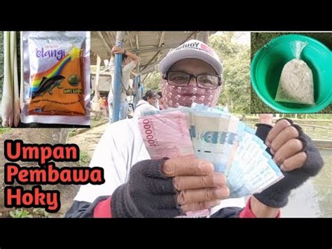 Update Umpan Ikan Mas Lomba Pelangi Air Sereh Umpan Ikan Mas No