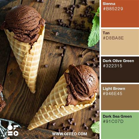 Earth Tones Color Palette With Example Hex Code Offeo Color