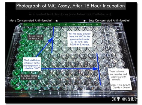 抑菌试验——微量二倍稀释法对mic及mbc的测定 知乎