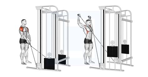 Cable Y Raise - Guide, Benefits, and Form