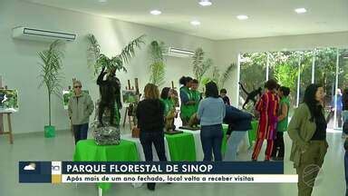 Bom Dia Nortão Parque Florestal reabre após mais de um ano fechado