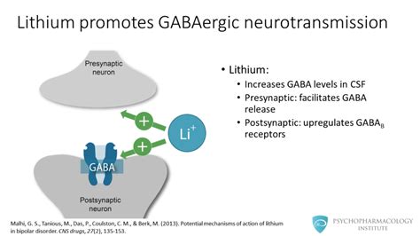 Lithium S Mechanism Of Action An Illustrated Review Annotated By Zakhar