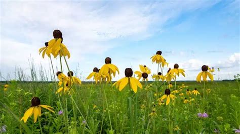 Dekalb Il Rehab Centers Detox Inpatient Rehab