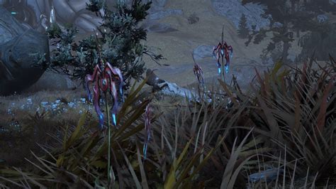 Flowers In The Plains Of Eidolon Are Tiny Sentients Warframe