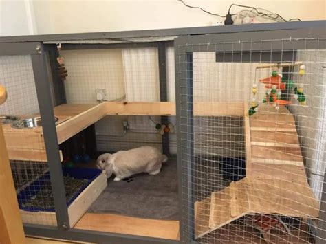 Rabbit Enclosures Indoor | ubicaciondepersonas.cdmx.gob.mx