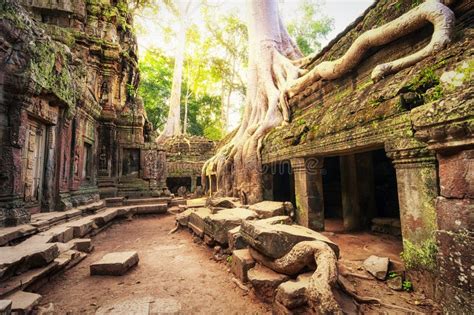 Angkor Wat Camboya Templo Budista Antiguo Del Khmer De TA Prohm Foto De