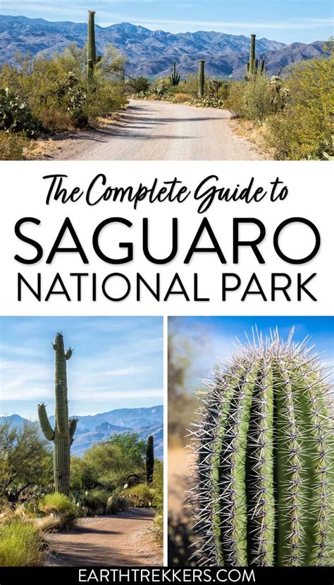 Amazing Things To Do In Saguaro National Park Artofit