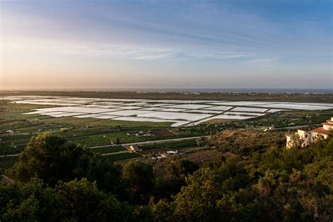 MACMA Descubrimos La Marina Alta Parc Natural De La Marjal