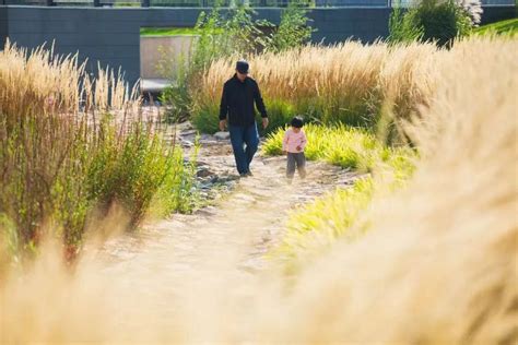 Nature Based Solutions In A Guyuan Urban Park To Mitigate Flood Risk And Enhance Community