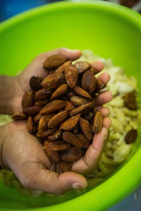 Vanuatu looks to local food production for a resilient future