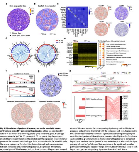 BioDecoded On Twitter Knowledge Graph Based Cell Cell Communication