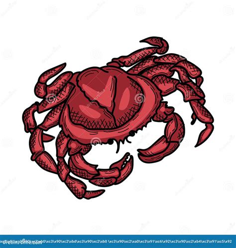 Vintage Crab Drawing Hand Drawn Seafood Illustration Stock Vector