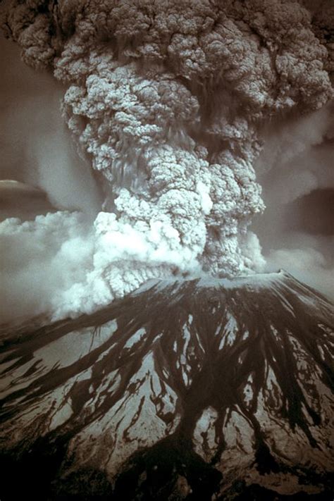 1980 Eruption Of Mount St Helens Wikipedia