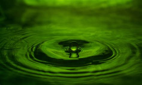 Drop Free Stock Photo - Public Domain Pictures
