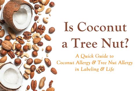 Is Coconut a Tree Nut? Are Coconut Food Products Safe for Nut Allergies?