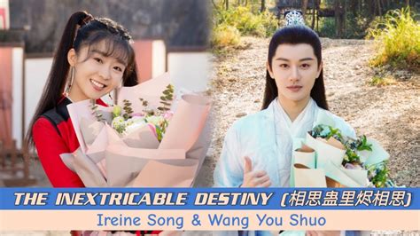 Upcoming Drama The Inextricable Destiny Ireine Song Wang You Shuo