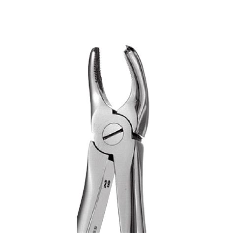 Left Upper Molars Forceps Advance Dentistry