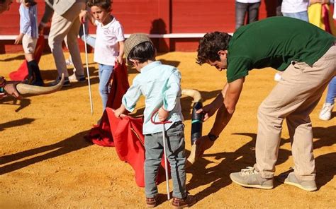 Se Increment La Asistencia A La Jornada De Puertas Abiertas En Sevilla