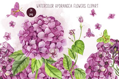 Watercolor Pink Hydrangea Flower Clipart Graphic By Elenazlataart