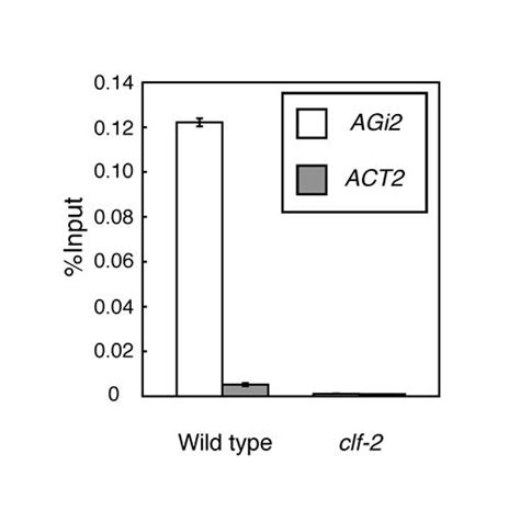 Protocol Chromatin Immunoprecipitation From Arabidopsis Tissues