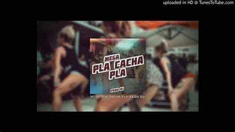 Mega Pla Cacha Pla Fedu Dj Youtube