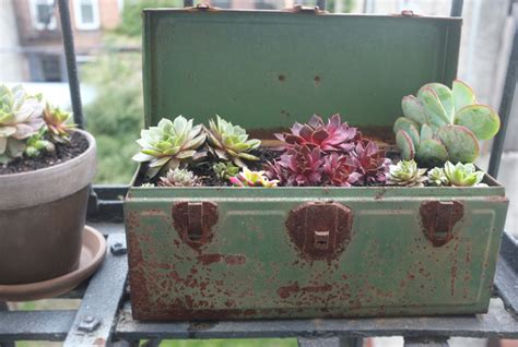 Unique Succulent Planters That Can Make A Statement Top Dreamer