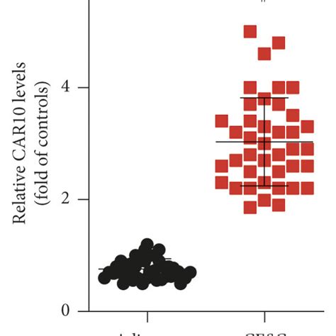 CAR10 Is Upregulated In Cervical Cancer Tissues And Cells A