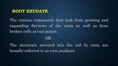 Root Exudates Ppt