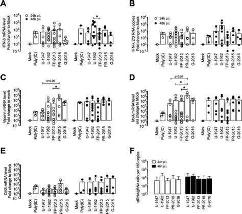 Ifn Type I Iii And Isg Responses Induced By Modcs Upon Zikv Infection