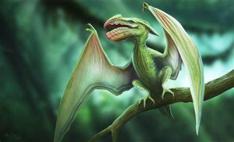 ArtStation - Pteronymus