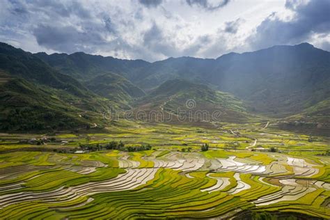 Rice Pola Na Tarasowatym W Rainny Sezonie Przy Mu Cang Chai Jen Bai