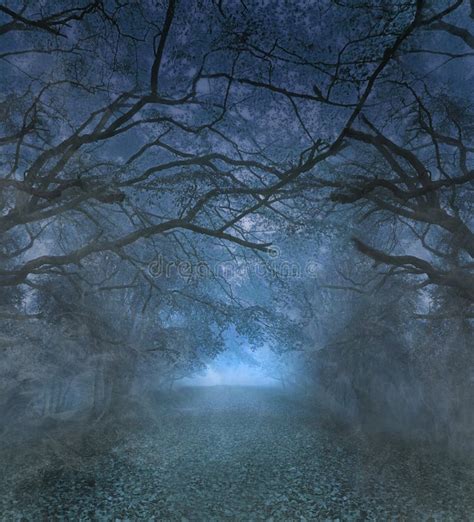 2,787 Moonlight Woods Stock Photos - Free & Royalty-Free Stock Photos ...