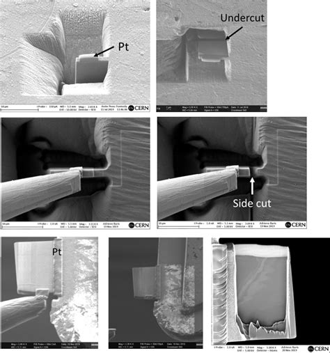 Lamella Preparation And Scanning Transmission Electron Microscopy Stem