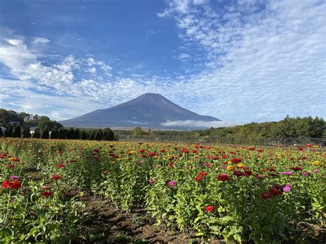 Mount Fuji Japan Landscape - Free photo on Pixabay - Pixabay