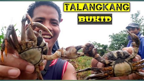 E Hunting Kuray Mud Crab Using Bare Hand Howto Buhayprobinsya