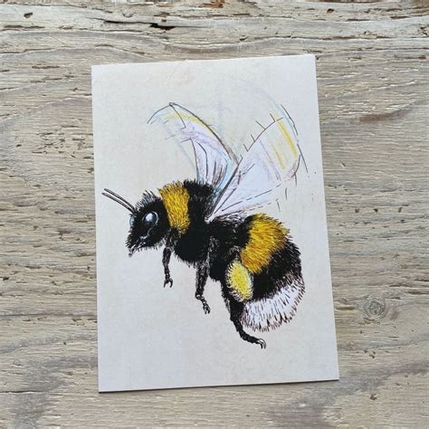 Bumblebee Art Print - Lifeforms Art