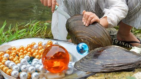 Pearl Explorer The Girl Found A Giant Clam In The River And Inside