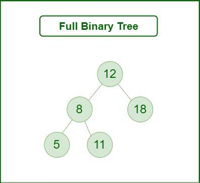 Full Binary Tree - GeeksforGeeks