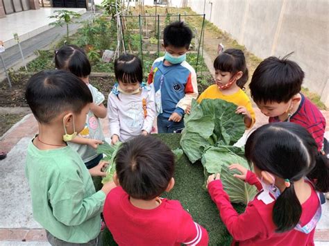 嘉市國中小幼兒園「食」際行動助高麗菜農 認購被棄單高麗菜敦親睦鄰 寶島日報