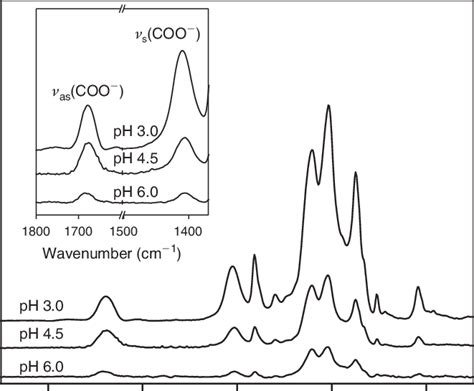 Attenuated Total Reflection Fourier Transform Infrared Spectra Of