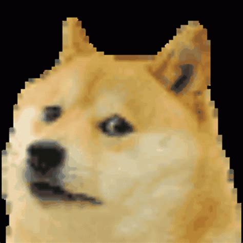 Doge GIF - Doge - Discover & Share GIFs