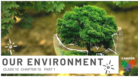 Our Environment Part 1 Chapter 15 Class 10 Science Cbsegseb