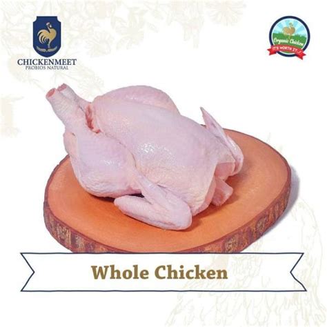 Jual Organic Chickenmeet Probios Natural Whole Chicken Daging Ayam