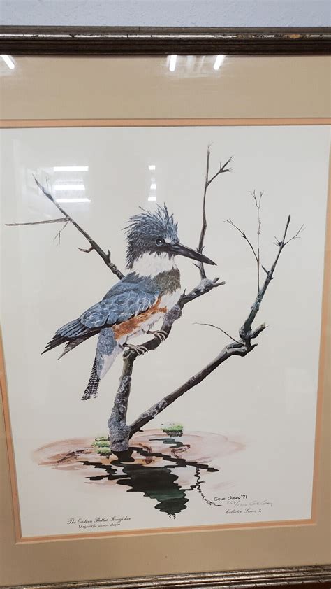 Gene Gray Signed Limitednumbered Eastern Belted Kingfisher Bird